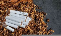 想了解烟草行业动态？上海卷烟销售网第一时间更新！