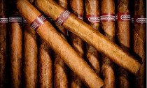 探秘四川雪茄叶：带你了解这款烟叶的风味和制作过程(雪茄 叶子烟)
