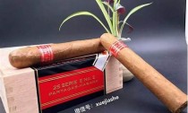 雪茄迷的必备手册：了解雪茄类型、品牌与价格范围(雪茄系列)