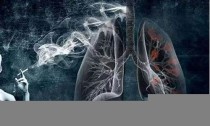 图解：香烟进入深部肺部的危害，网购烟品前必看！(烟进入肺部的过程图片)