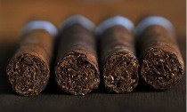 了解香烟世界：雪茄长虫抽引发的争议与讨论(雪茄有虫洞怎么处理)