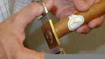 雪茄修剪雪茄剪切的正确方式(雪茄从哪儿剪)