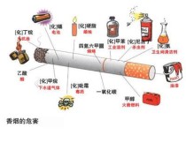 《烟雾缭绕：深入剖析烟草市场的经济与健康影响》