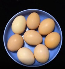 鸡蛋放在白酒里能放多久（鸡蛋放在白酒里能放多久啊）