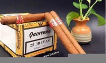 发现伯利兹雪茄的魅力：一场香烟品味之旅(bolivia雪茄)