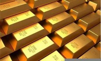 黄金资讯查询：发现财富增长的黄金密码