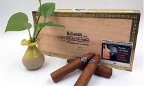 发现马达加斯加雪茄的独特魅力：品味异域风情，感受香烟文化之美
