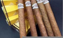 雪茄达人必备：在网上购买古巴金箔雪茄的完美指南！(在哪买古巴雪茄)