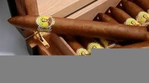 雪茄世界之旅：从古巴到尼加拉瓜，发现不同产地的独特风味！(印尼 雪茄)