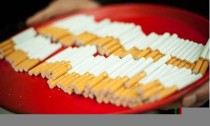 香烟文化探索：烟草网络带你走进独特的烟草世界