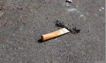 地上插烟头，真相揭秘！网购香烟必读！(地上的烟头)
