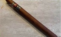 探寻多米尼加之花雪茄的魅力：品味烟叶之美、感受传统工艺(多米尼加雪茄价格表)
