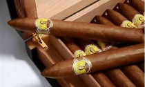 探秘雪茄文化：品味烟叶的奥妙与传承(烟 雪茄)