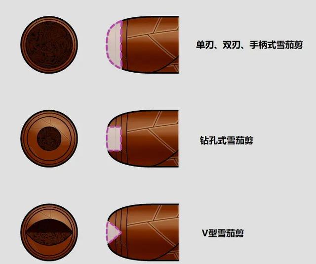 雪茄新手必看！雪茄剪刀的使用技巧与购买建议一网打尽！