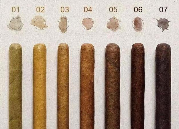 怎么分辨雪茄风味香烟,怎么品鉴雪茄