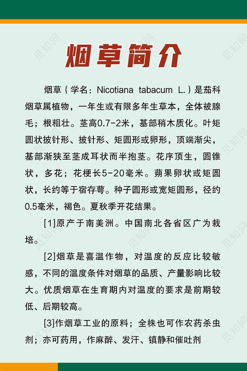 正规渠道香烟货源代理的重要性