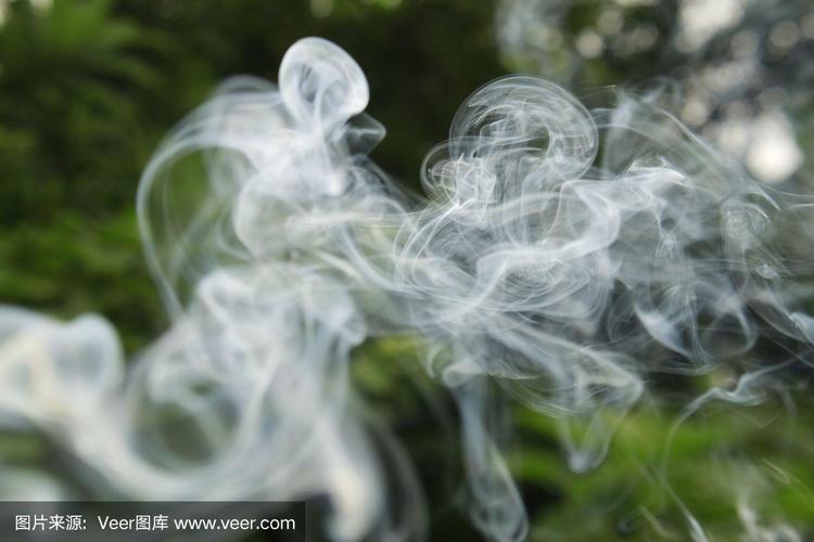 烟雾缭绕的沉思——探究烟草经济与消费者心理