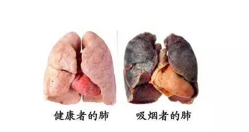 外烟的伤害,外烟是不是对肺好点